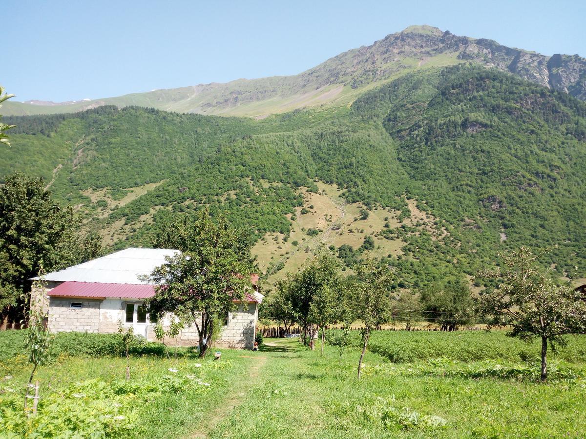 Zhabeshi Guesthouse Mamuka Zhabesh מראה חיצוני תמונה