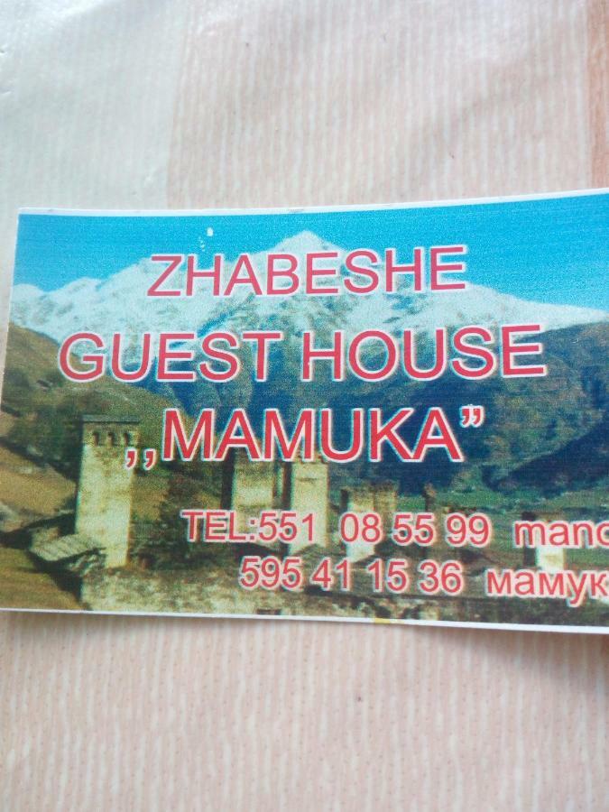 Zhabeshi Guesthouse Mamuka Zhabesh מראה חיצוני תמונה
